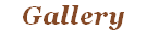wp78349939.png